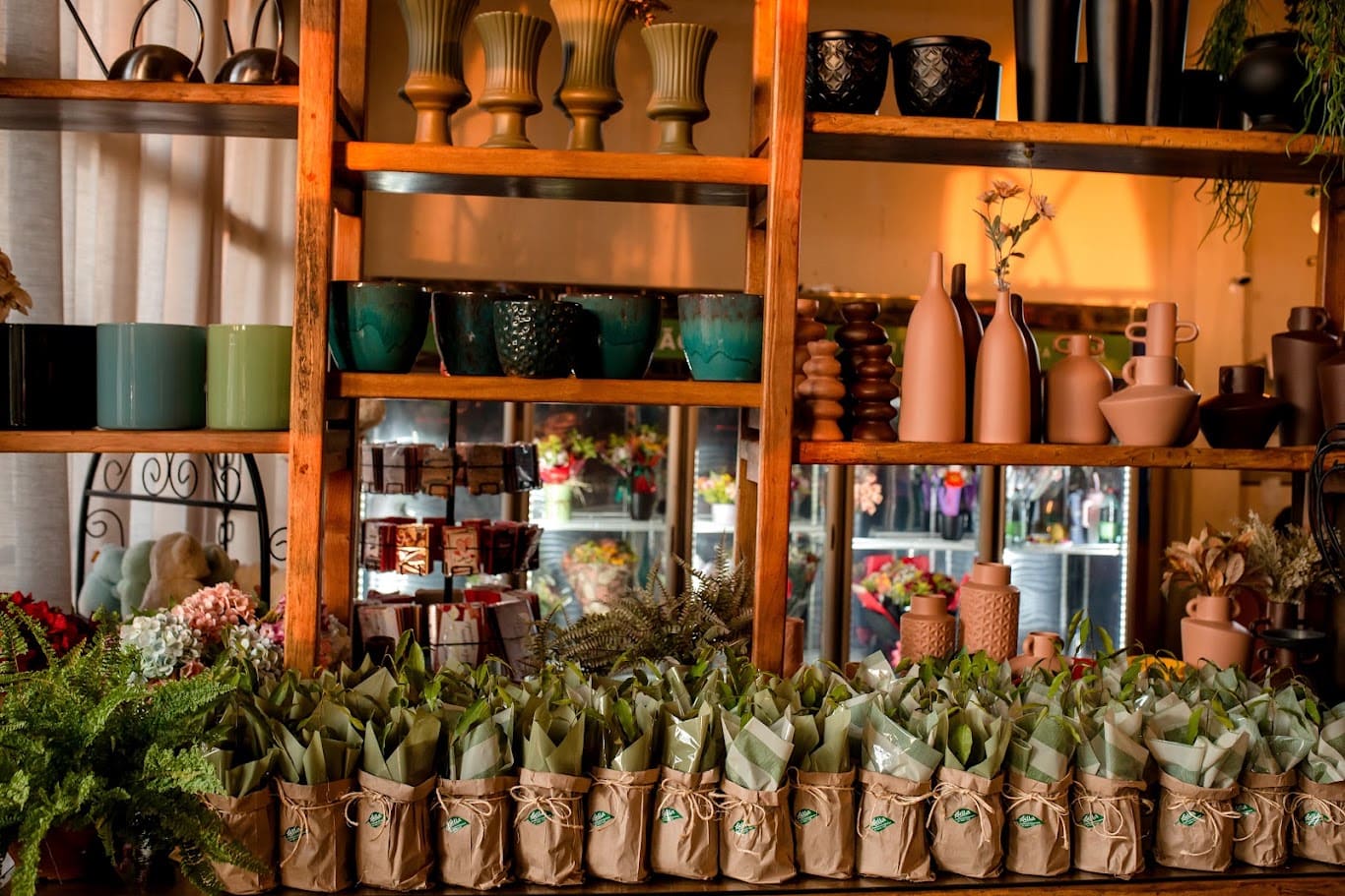 Plantas que dão vida aos seus espaços